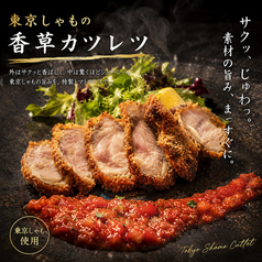 東京しゃもの香草カツレツ トマトソースで