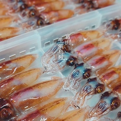 富山県産 生ホタルイカ各種料理