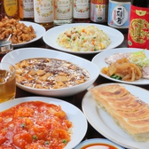 大連餃子 川崎店の詳細