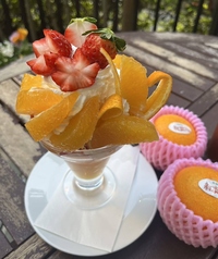 みかんパフェ