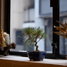 小上がり畳席。 4名席×2卓繋げて8名様でご利用も可能※ちょっと窮屈になるのでご了承ください。秋葉原/岩本町/裏秋葉原/居酒屋/バル/創作料理/和食/貸切/女子会/デート/宴会/歓送迎会/誕生日/記念日/ディナー/一人飲み