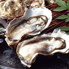 新鮮 生牡蠣 <一個>