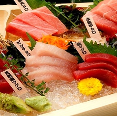 美酒トロ 徳川さん特集写真1