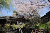 とうふ屋うかい 大和田店の詳細