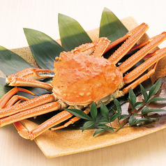 千の庭 川崎東口店のコース写真