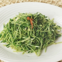 豆苗