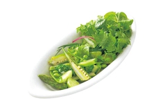 緑野菜のサラダ～爽やかな自家製ドレッシングと共に～