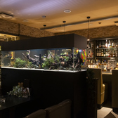 大きな水槽が目を引く、おしゃれで落ち着いた空間の本格BAR