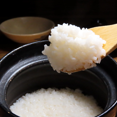 本日の白米ご飯