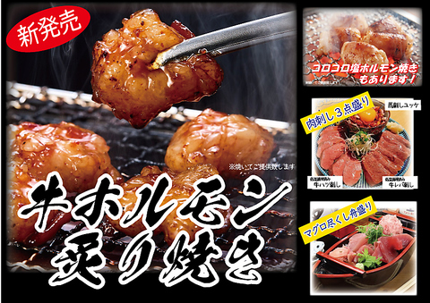 牛ホルモン炙り焼き新登場！