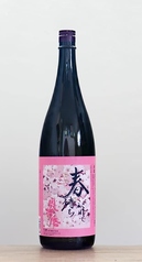 【兵庫県】奥播磨　山廃純米超辛　春まちこがれて(一合/グラス)