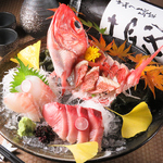 刺身は食感が美味しさの証。旬は脂が乗って身がプリプリ、歯ごたえ抜群でお酒の肴としても最高！
