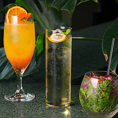 毎週仕入れるワイン、自家製コーラ・ジンジャーエール