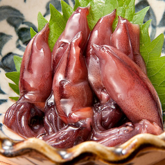 ほたる烏賊 沖漬け