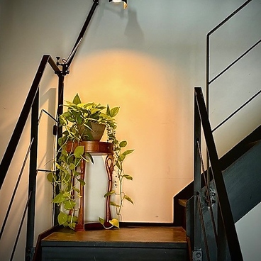 SESERAGI セセラギ 炭火酒家の雰囲気1