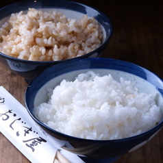 白ごはん 小