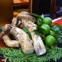夏松茸(早松)料理各種