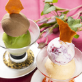 料理メニュー写真&nbsp;ジェラート 