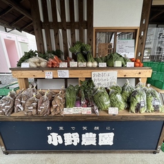 【新鮮で安全なお野菜をお届け】