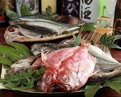 日本酒 炭焼き家 粋 IKIの特集写真