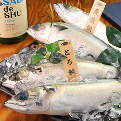 とろさば料理 海鮮居酒屋 SABAR 浜松町大門店の写真2