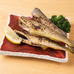 北海道特大氷下魚炙り焼き