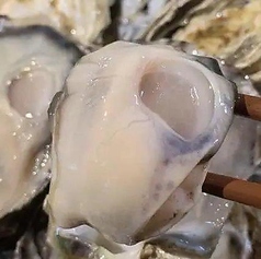 ぷりっぷりの極上牡蠣 生牡蠣