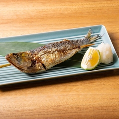 トロイワシ