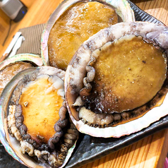 山陰 隠岐島より直送!!特大あわび入荷しました