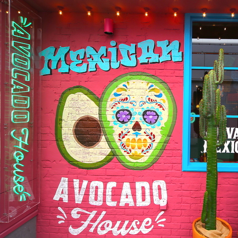 AVOCADO HOUSE NAMBA A{JhnEX gX