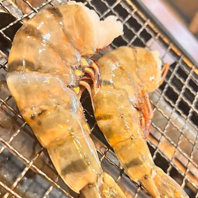 【朝獲れ鮮魚の本日料理】