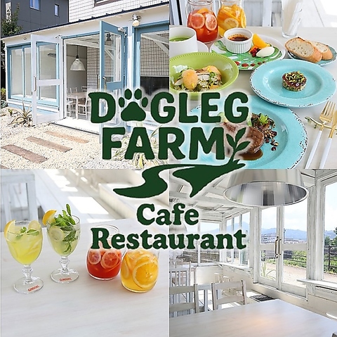 DOG LEG FARM hbObOt@[