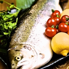 信州サーモン 炙り焼き（塩焼き・味噌焼き） /刺身