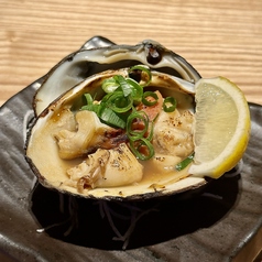 北海道苫小牧 活ほっき貝