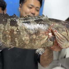游漁庵 福岡本店のコース写真