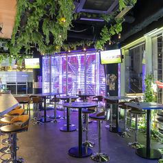 BAR STADIUM スタジアムのコース写真