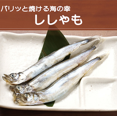 ししゃも