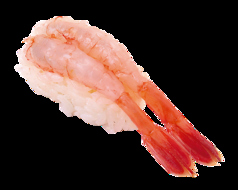 甘海老