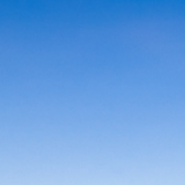 明石八 九条店の雰囲気3