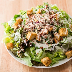 シーザーサラダ　R/L