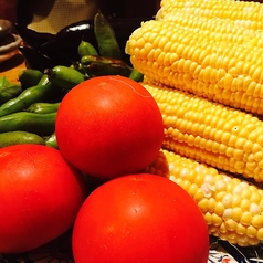 新鮮な旬野菜を使用しております