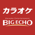 ビッグエコー BIG ECHO 茅ヶ崎駅前店のロゴ