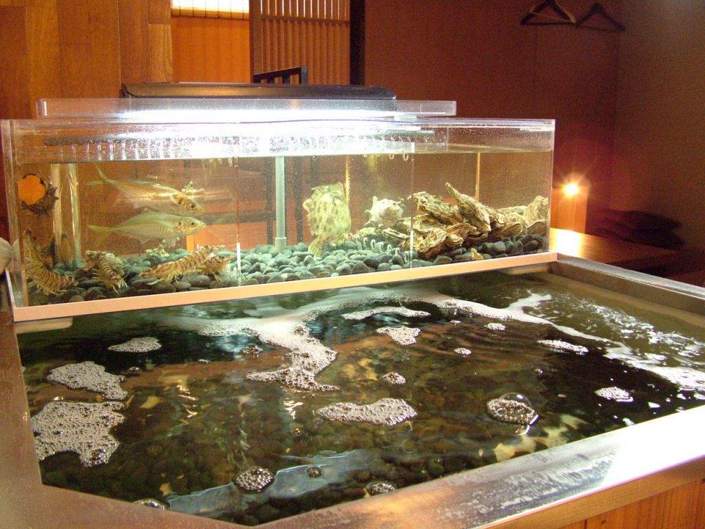 生け簀の中には、市場で直に仕入れた新鮮魚介の数々…！！大人気の泳ぎイカ等、数量限定です