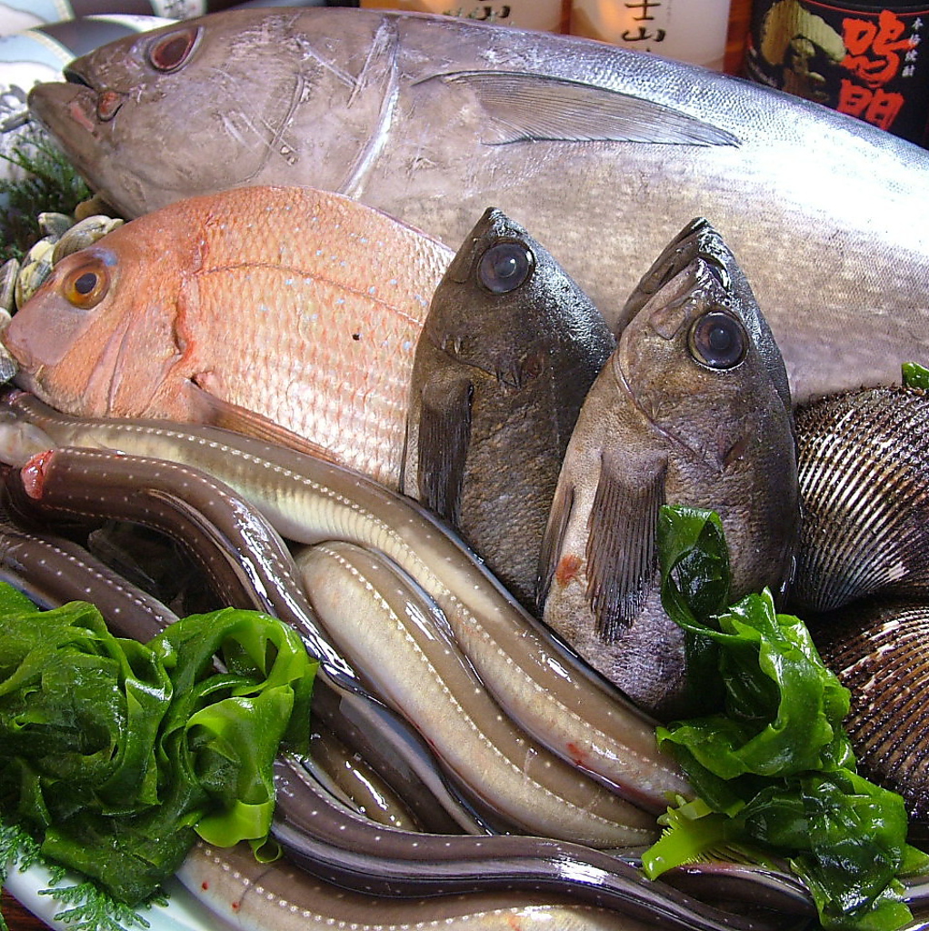 駅前で旨い魚を食べるならココ★調理するお魚は、毎朝店主が市場から仕入れる新鮮なお魚ばかりです♪