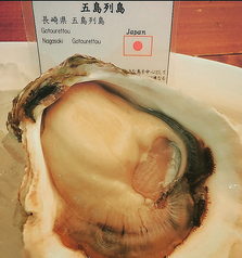 長崎県   五島列島 “椿”