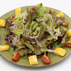 能登の採れたて野菜のグリーンサラダ