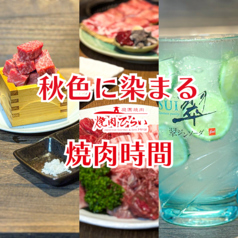 庭園焼肉 焼肉ひらい 宇多津店