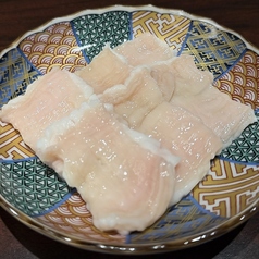 シマチョウ　各