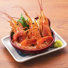 天然エビの刺身