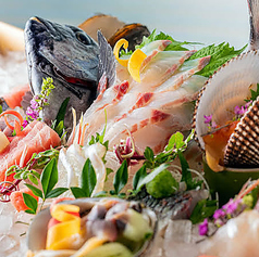 佐屋 枚方駅前店のコース写真